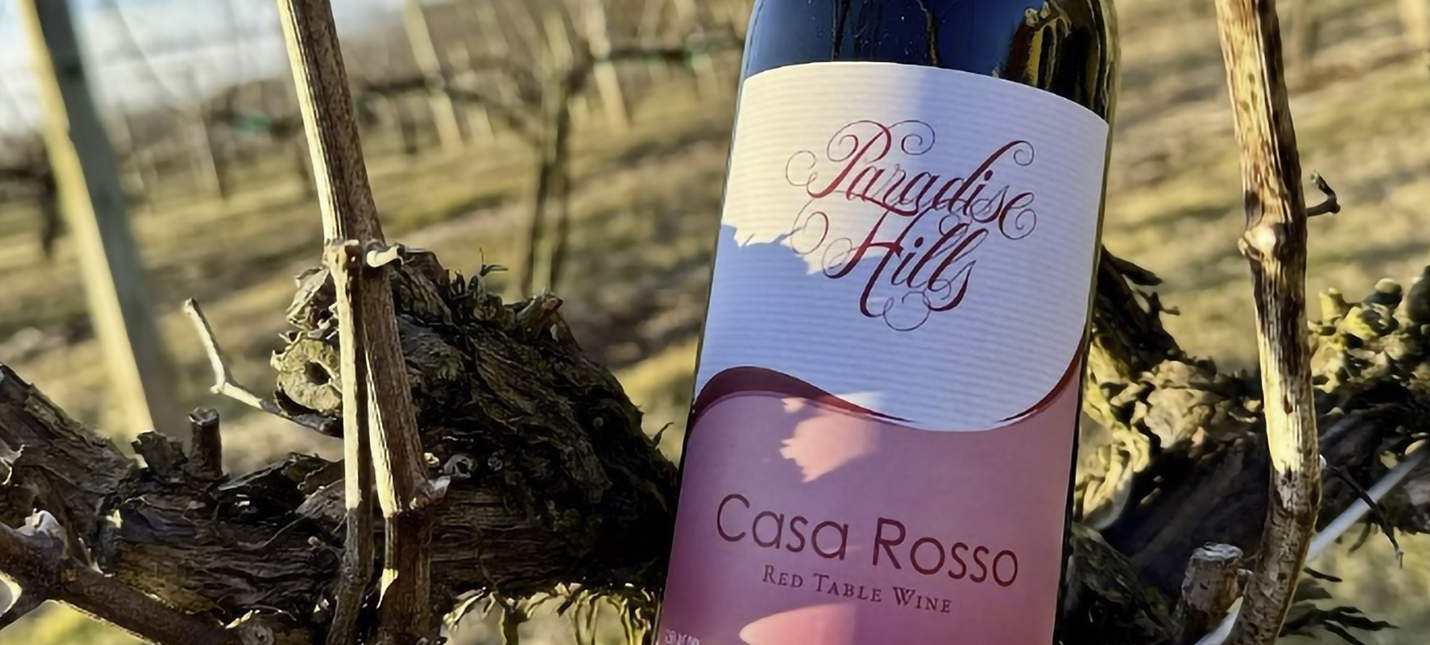 ParadiseHillsVineyard