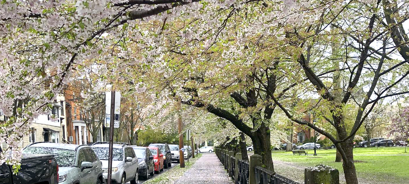 WoosterSquarePark